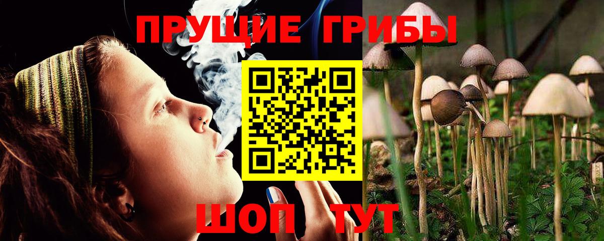 Галлюциногенные грибы Psilocybe  Галлюциногенные грибы Cubensis  Шебекино  Вход с VPN 